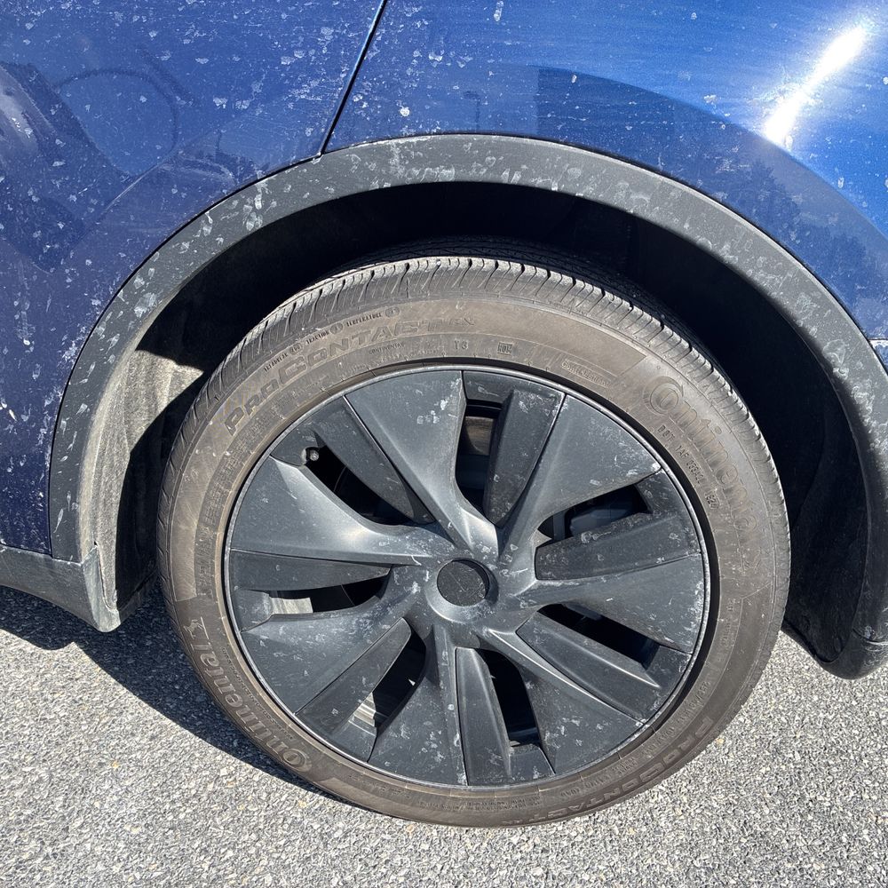 2024 Tesla Model Y Long Range - Image 10