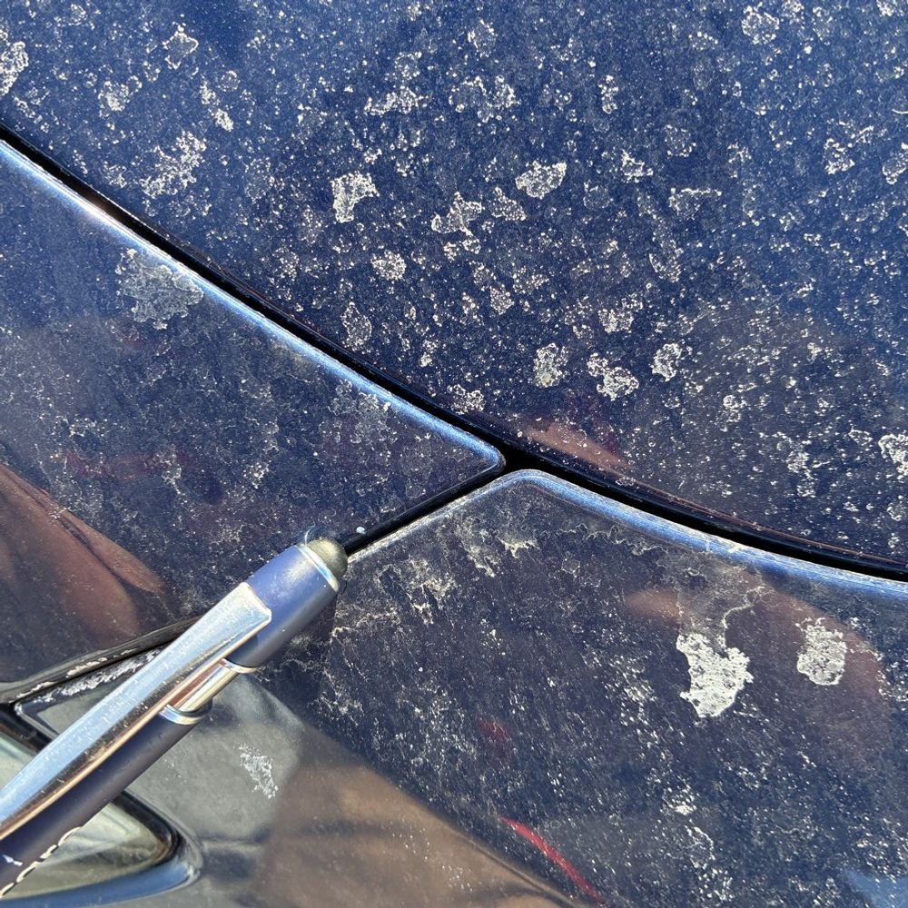 2024 Tesla Model Y Long Range - Image 16