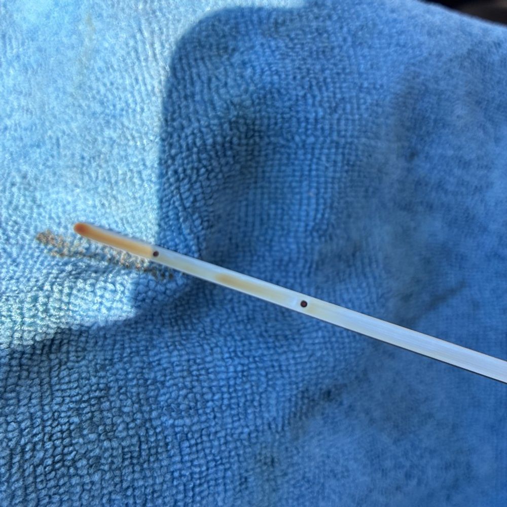 2025 Toyota Land Cruiser - Image 49