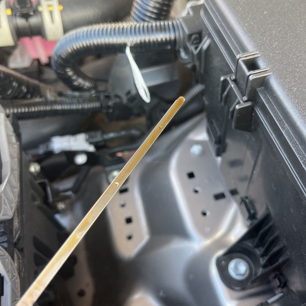 2024 Toyota Land Cruiser - Image 15