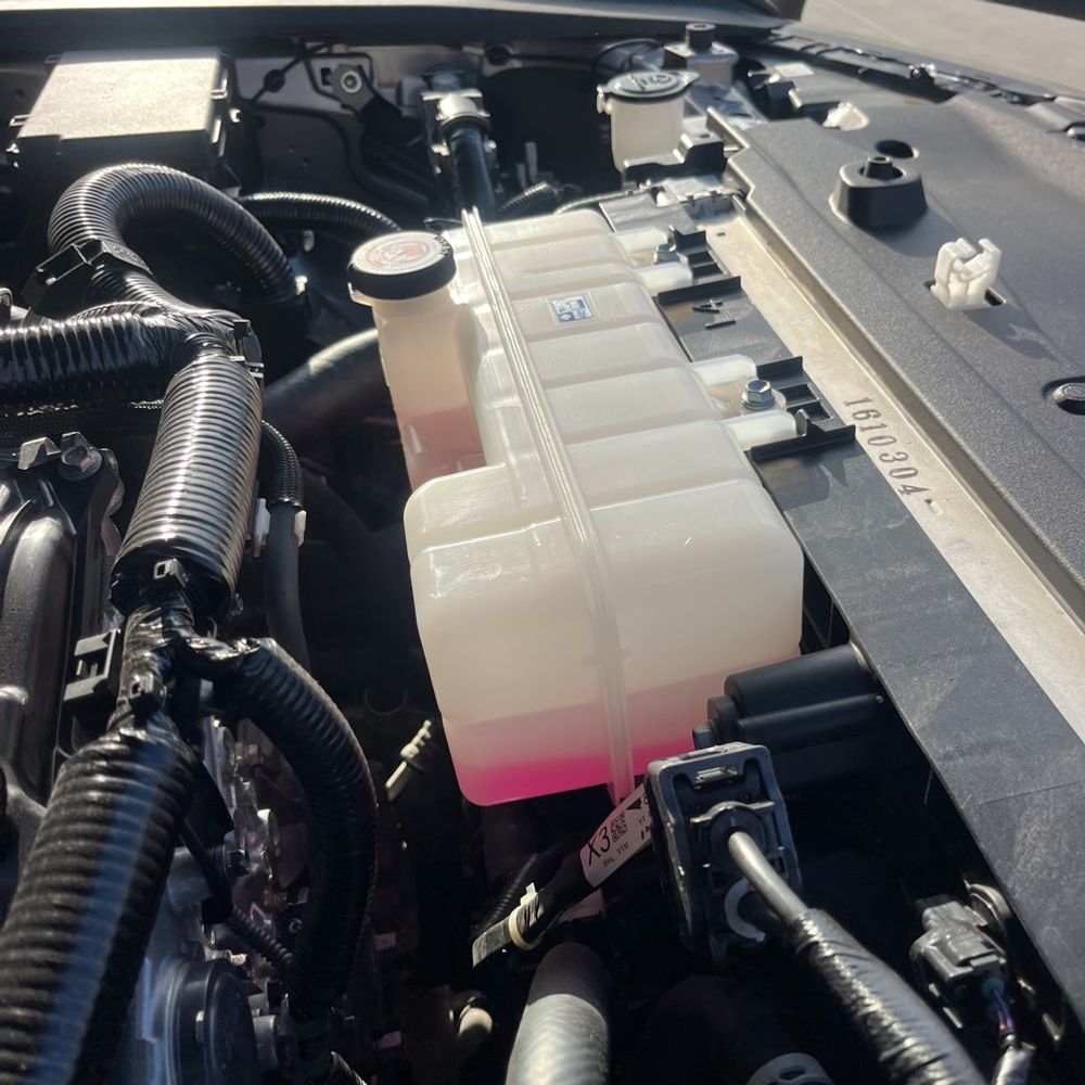 2024 Toyota Land Cruiser - Image 19