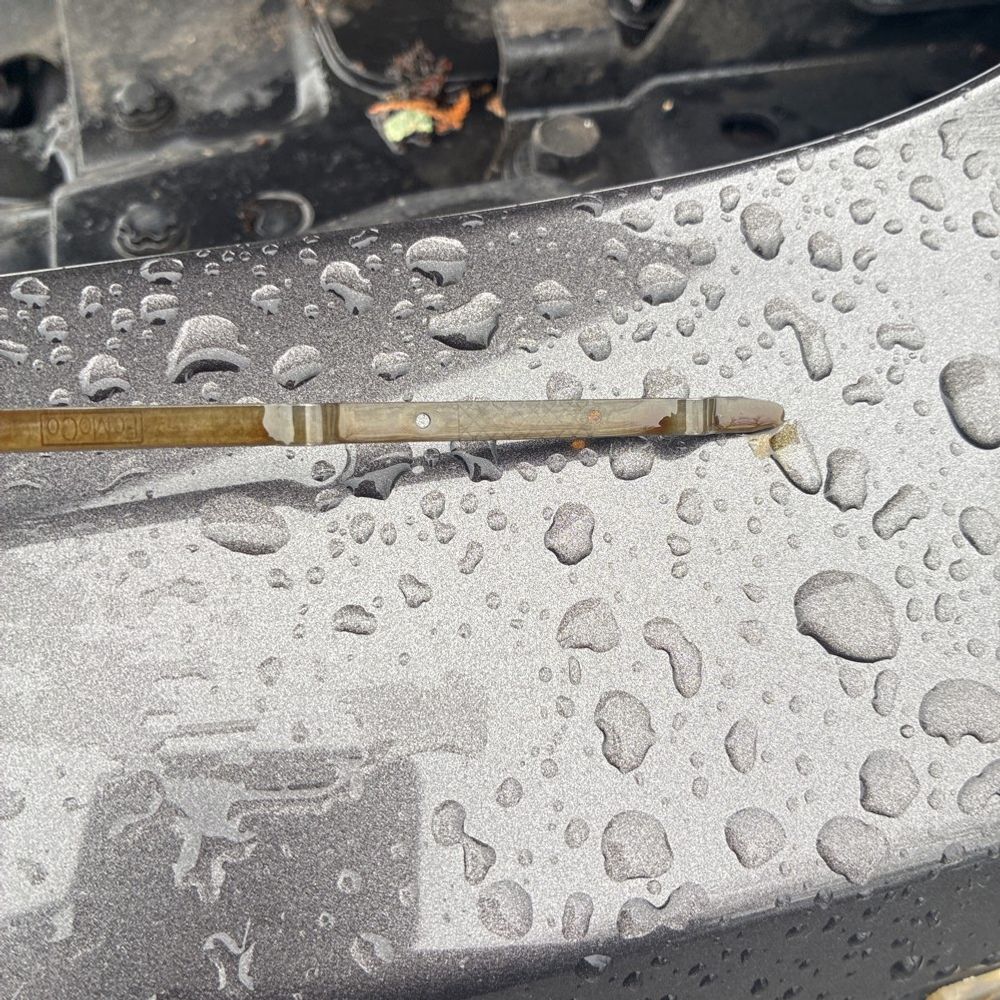 2019 Ford F-150 - Image 12