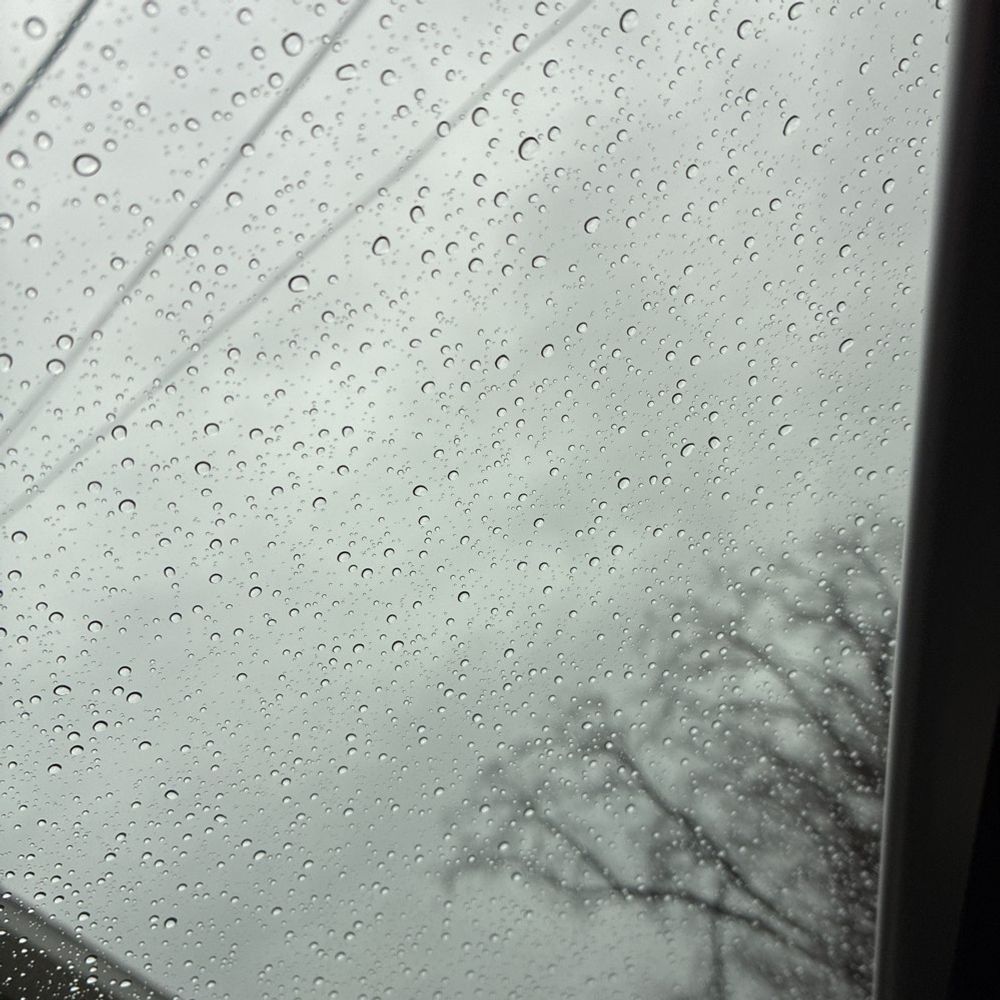 2023 Audi S5 Sportback - Image 22